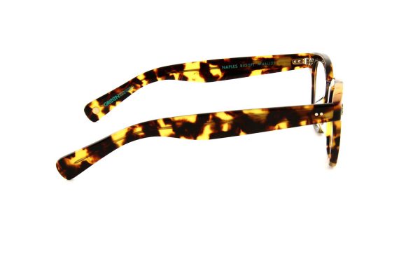 Garrett Leight Naples - Afbeelding 9