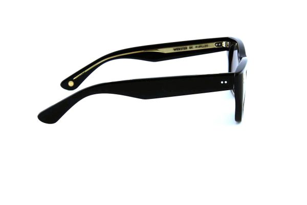 GARRETT LEIGHT WEBSTER - Afbeelding 5